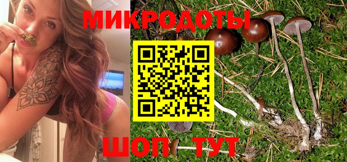 Галлюциногенные грибы Cubensis Лянтор